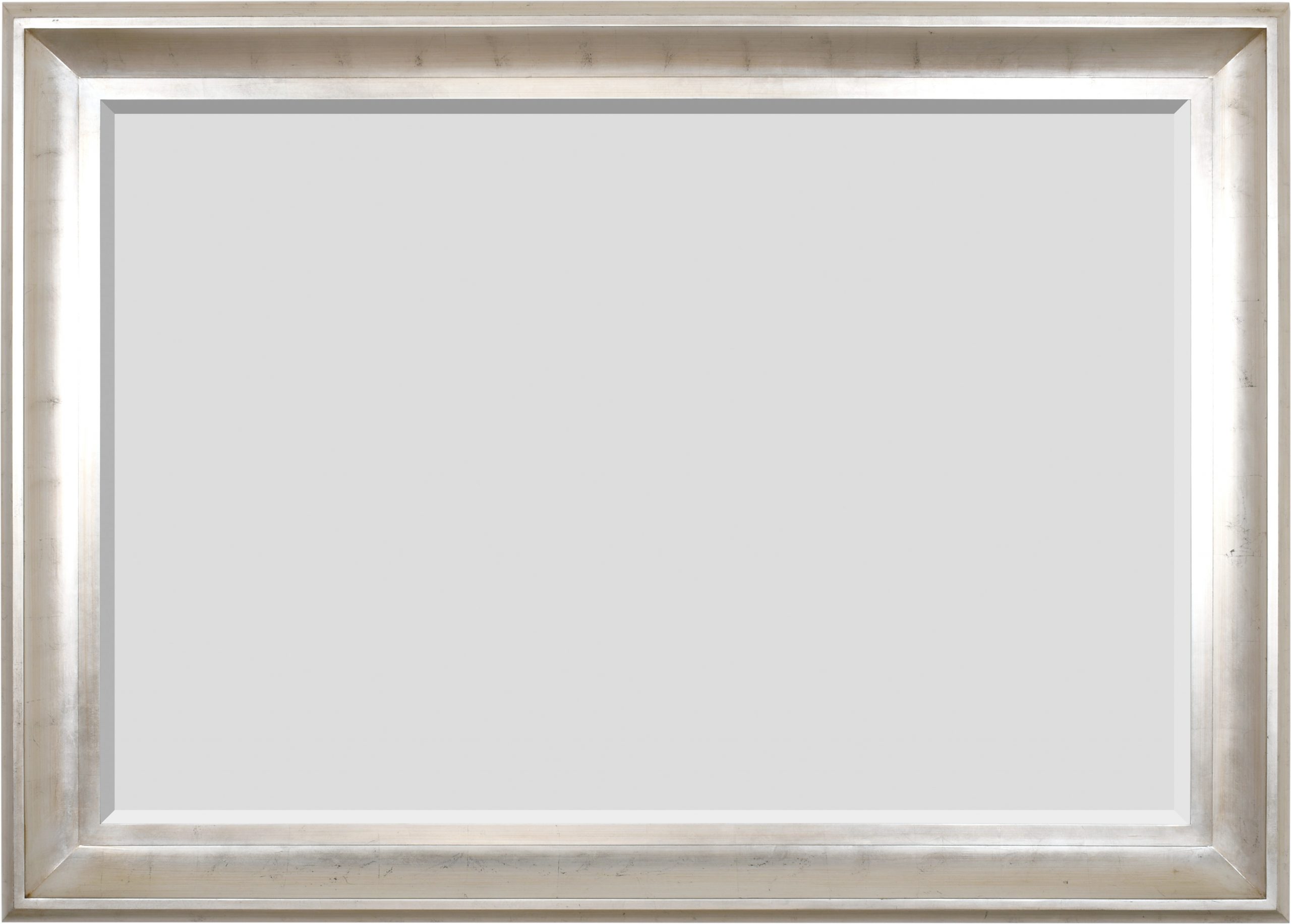 11161221 The Sterling Mirror 48X72 Silver with Champagne Wash - Image 1