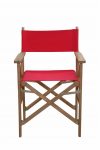 Anderson Teak Director Folding Armchair w/ Canvas (sold as a pair)