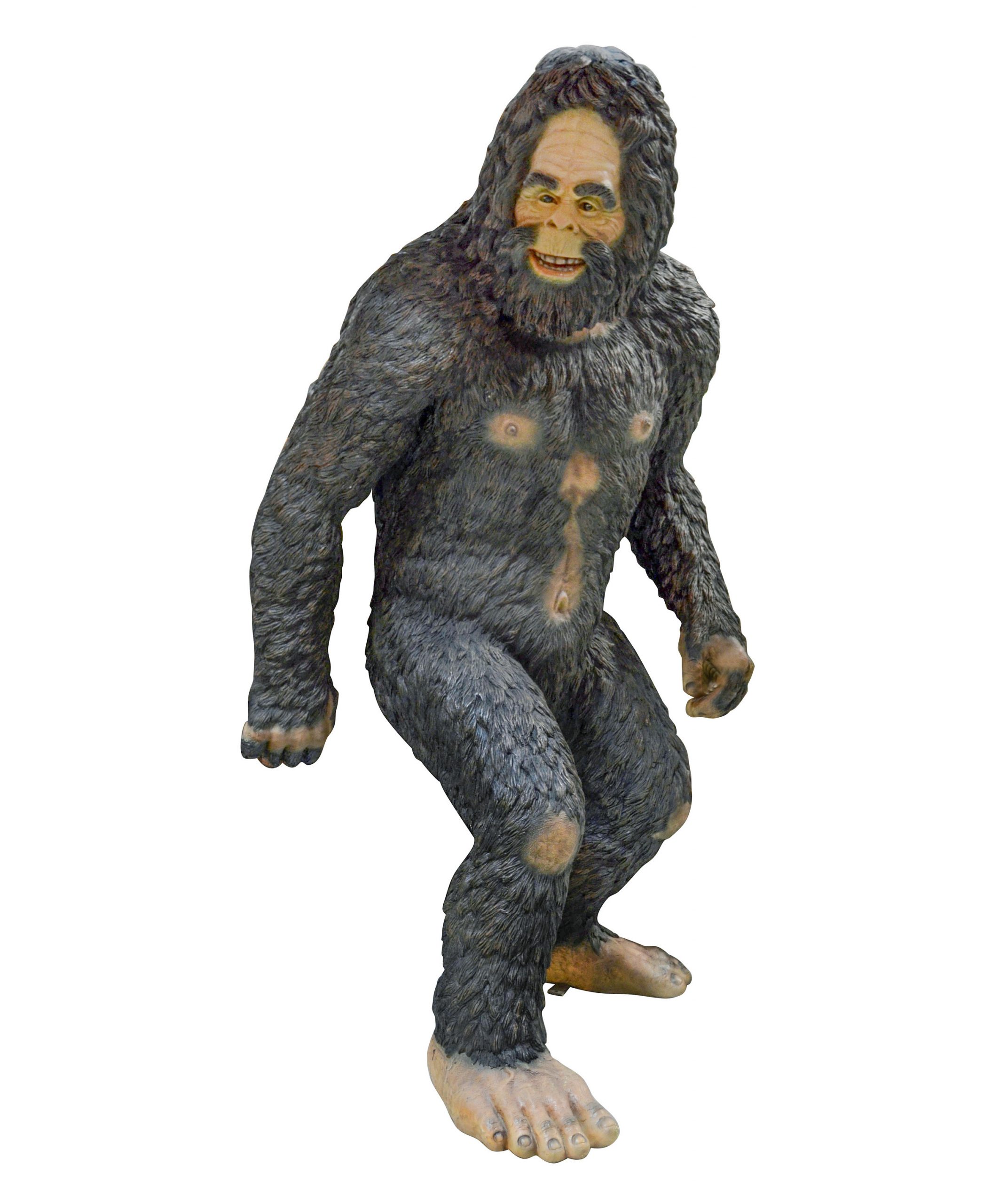 11247375 Big Foot - Image 1
