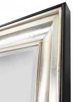 Silver Raven Mirror 36X72TSB - Image 3