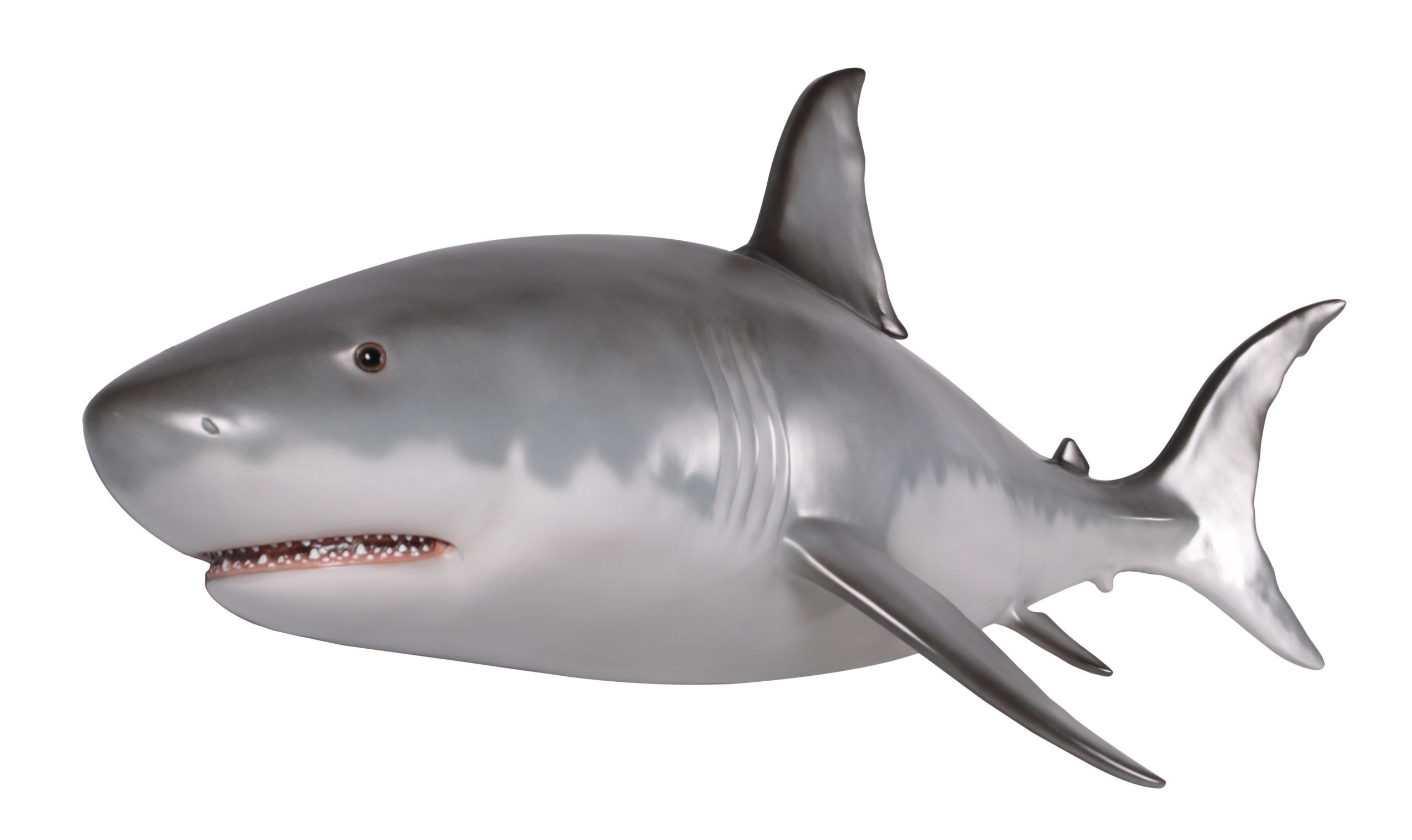 12018068 Wall Mounted Great White Shark 6ft - Image 1