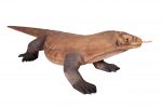 Enormous Komodo Dragon 130 Inch Long - Image 3