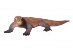 Enormous Komodo Dragon 130 Inch Long - Image 5