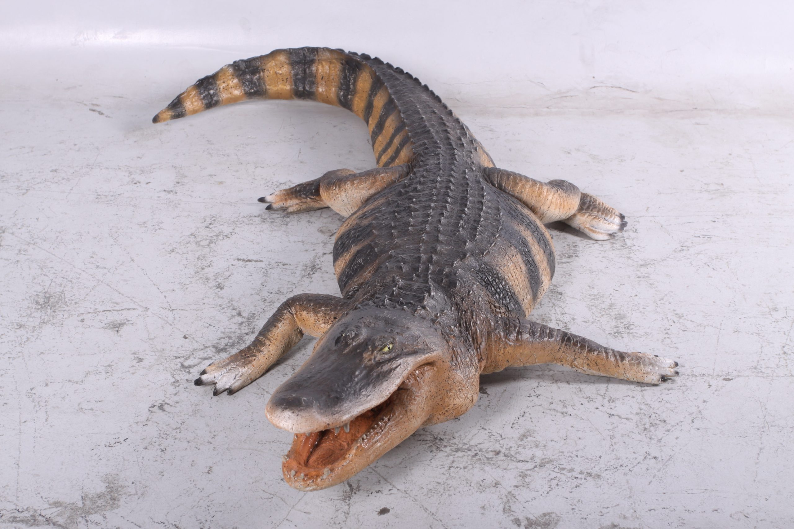 10773066 life-size American Alligator 94.75 Inch Long - Image 1