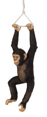 Hanging Jungle Jimmy K - Image 2