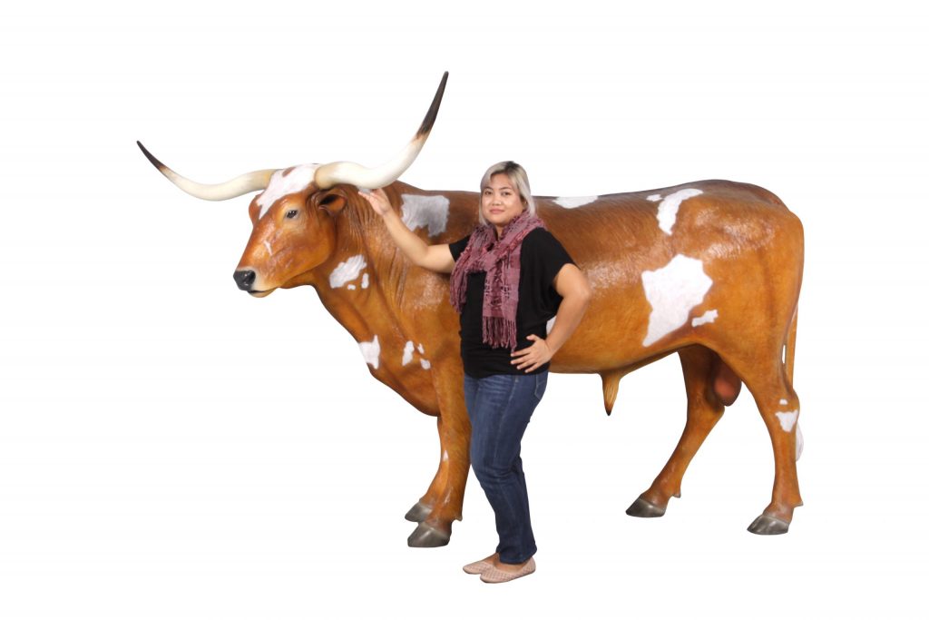 Texas Longhorn Bull