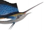Wall Mount Sailfish 5ft - Image 2