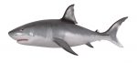 Wall Mounted Great White Shark 6ft - Image 2