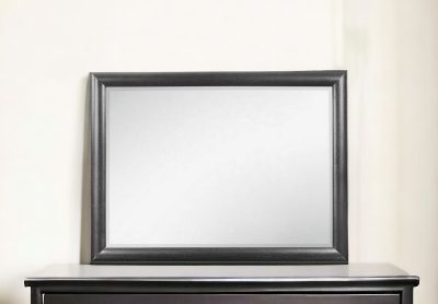 Homeroots - 35" Dark Gray Wood Framed Mounted Dresser Mirror