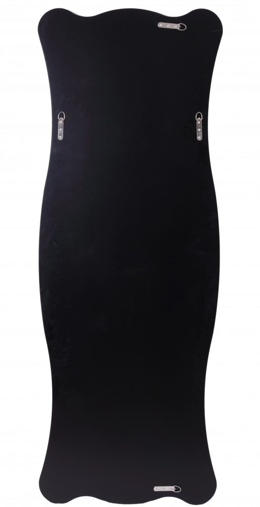 Homeroots - 65" Clear Novelty Glass Framed Full Length Hanging Mirror