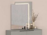Whiteline Modern - Damien Damien Light Grey Rectangular Dresser Mirror - Image 5