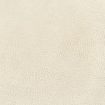 Zentique - Acel Acrylic Coffee Table