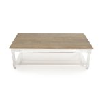 Zentique - Corbin Acrylic Coffee Table