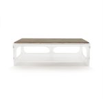 Zentique - Alec Acrylic Coffee Table