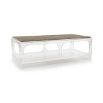 Zentique - Alec Acrylic Coffee Table