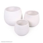 White Vase (15300 A584A)