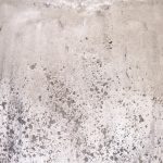 Distressed White Vase