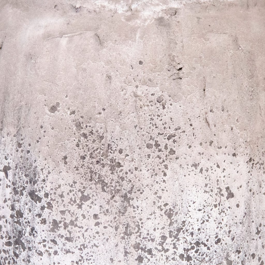 Distressed White Vase