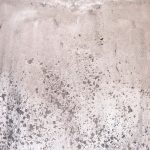 Distressed White Vase