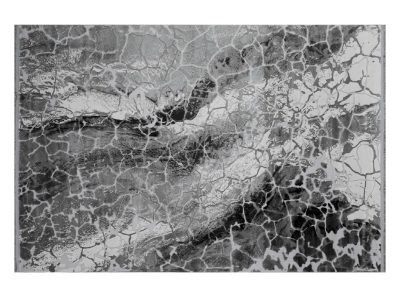 Whiteline - Mirabella Area Rug