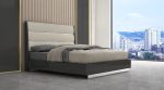 Whiteline - Pino Queen Bed