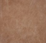 Spectra Home Catalina Chair