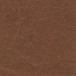 Spectra Home Dixon Rechargeable Power Recliner