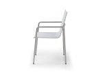 Whiteline - Paola Outdoor Dining Armchair