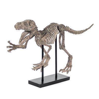 Velociraptor Skeleton w/ Base