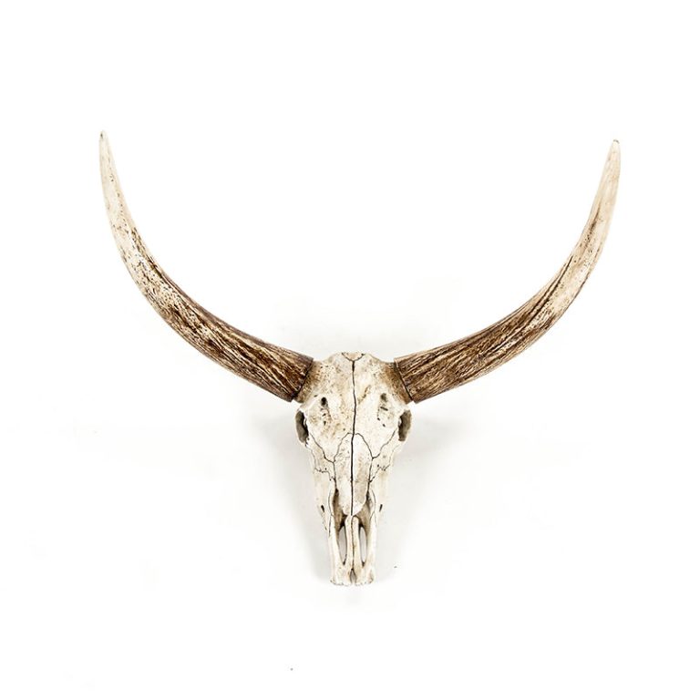 Bull Skull Wall Decor