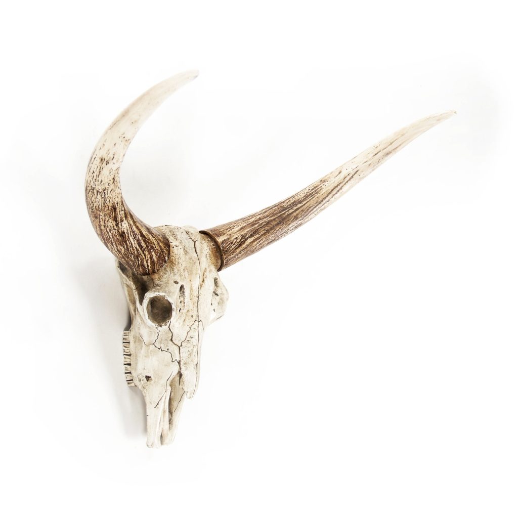 Bull Skull Wall Decor