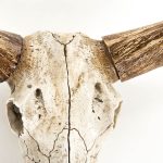 Bull Skull Wall Decor