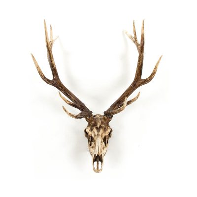 Deer Skull Wall Decor