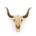 Bull Skull Wall Decor