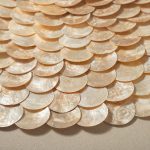 Shell Bloom Framed Wall Art