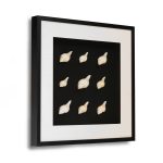 Abstract Shell Art