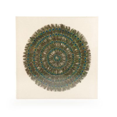 Peacock Feather Art