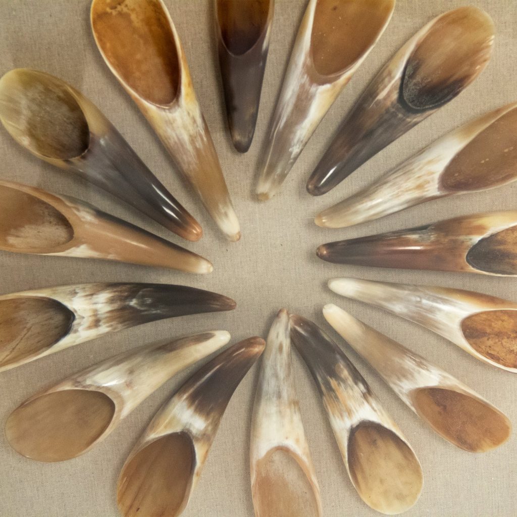 Abstract Shell Art
