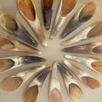 Abstract Shell Art