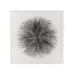 Abstract Branches in Acrylic Wall Art
