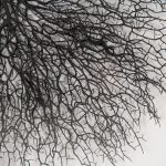 Abstract Branches in Acrylic Wall Art