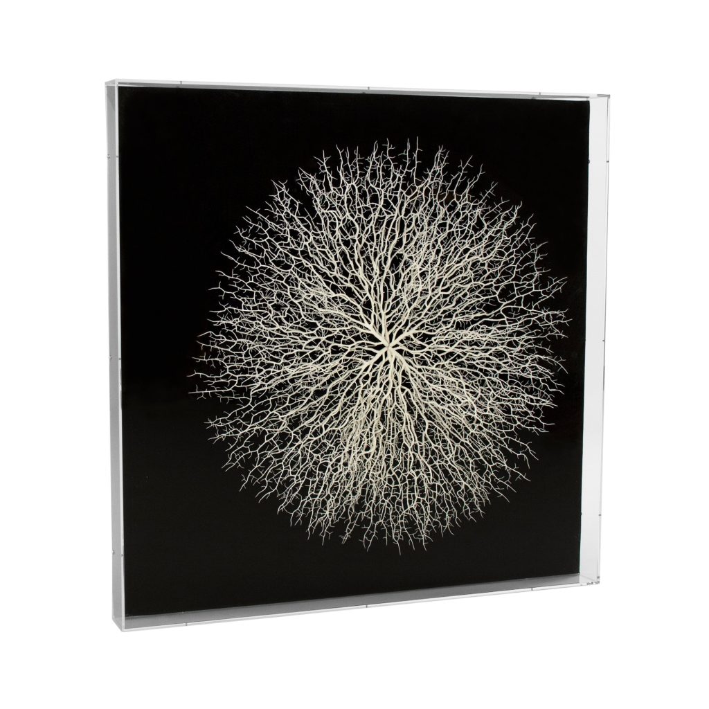 Abstract Branches in Acrylic Wall Art