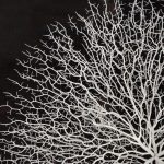 Abstract Branches in Acrylic Wall Art