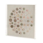 Abstract Shell in Acrylic Wall Art