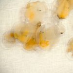 Abstract Stained Glass Wall Art