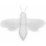 Oly Studio - Ornament, Luna Moth Frost White