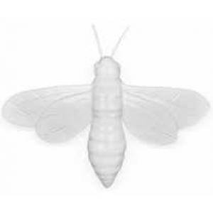 Oly Studio - Ornament, Luna Moth Frost White