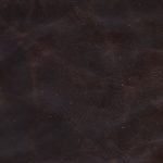 Spectra Home Riverside Swivel Chair