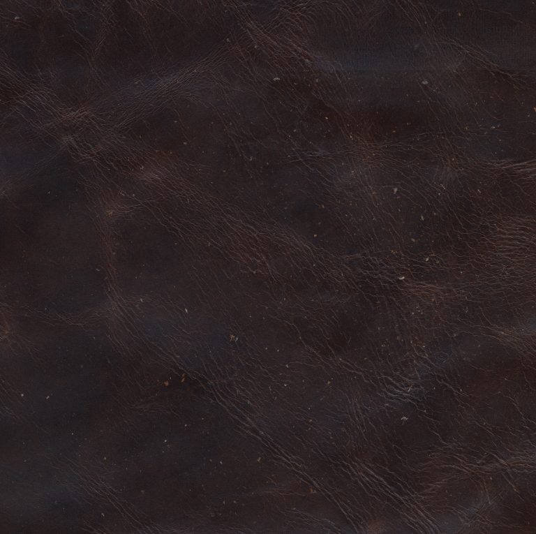 Spectra Home Riverside Swivel Chair