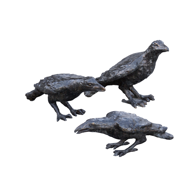 Oly Studio - Birds, Ravens